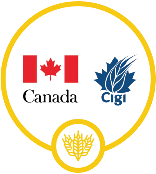 cgi-canada